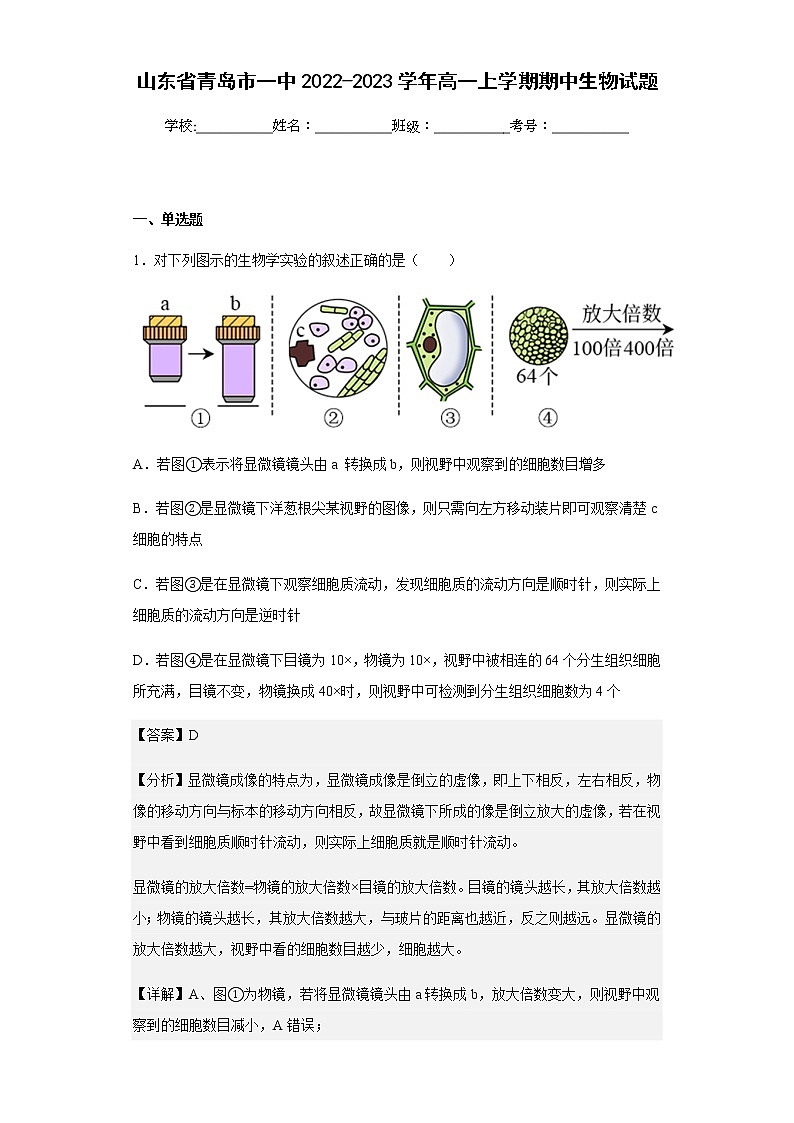 2022-2023学年山东省青岛市一中高一上学期期中生物试题含解析01