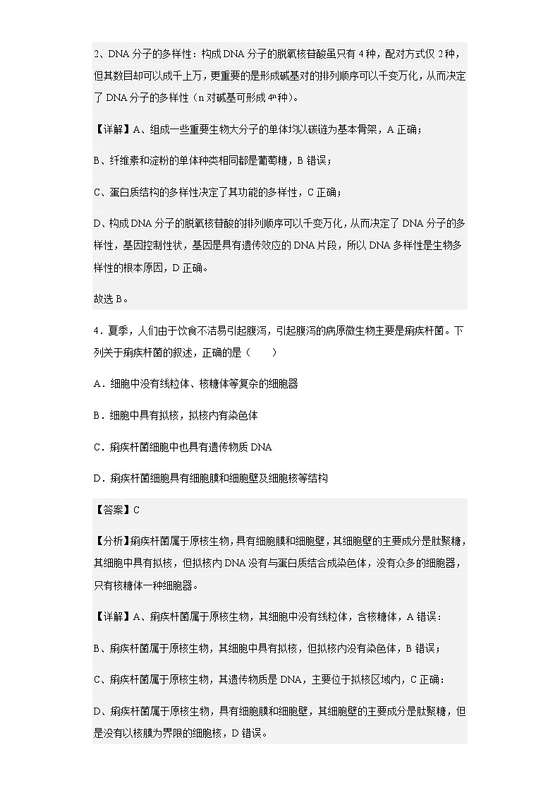 2022-2023学年山东省泰安市新泰市一中高一上学期期中生物试题含解析03
