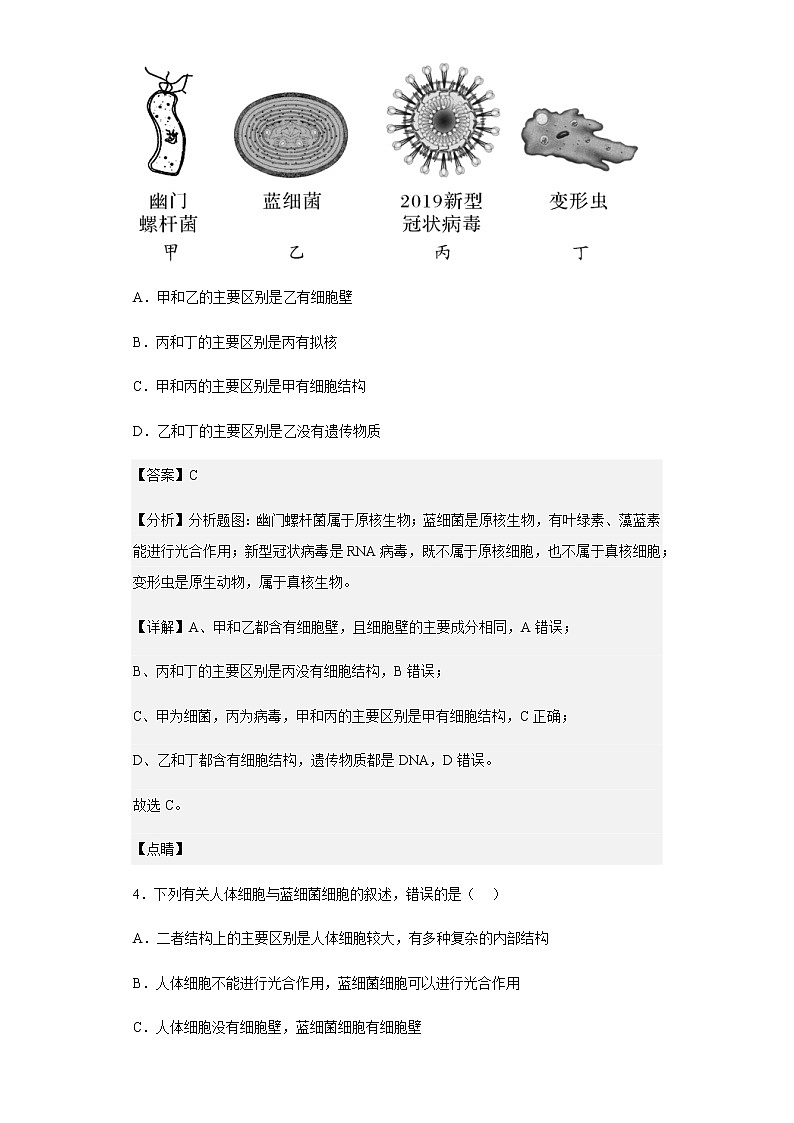 2022-2023学年陕西省西安市长安区一中高一上学期期中生物试题含解析第3页