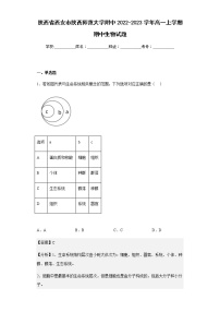 2022-2023学年陕西省西安市陕西师范大学附中高一上学期期中生物试题含解析