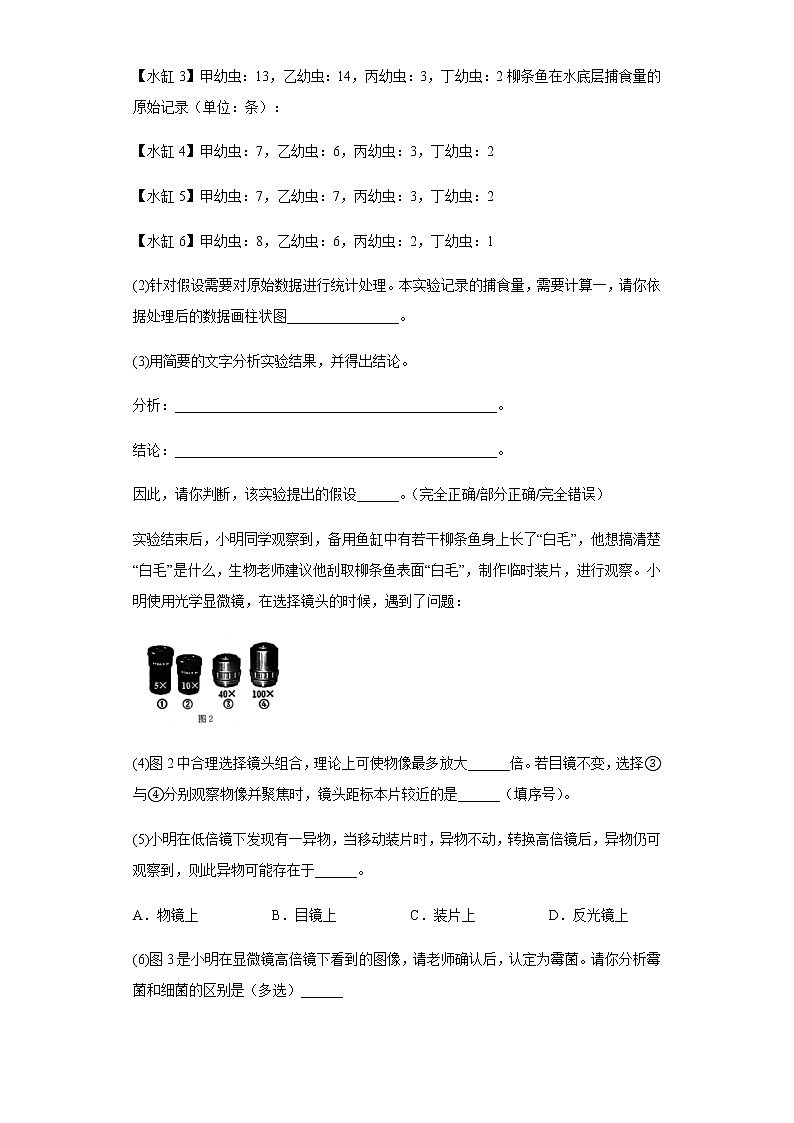 2022-2023学年上海交通大学附中高一上学期期中生物试题含解析02