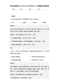 2022-2023学年四川省成都市七中高一上学期期中生物试题含解析