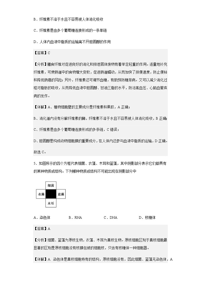 2022-2023学年河南省鹤壁市浚县一中高一10月月考生物试题含解析第3页