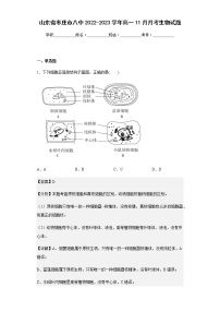 2022-2023学年山东省枣庄市八中高一11月月考生物试题含解析