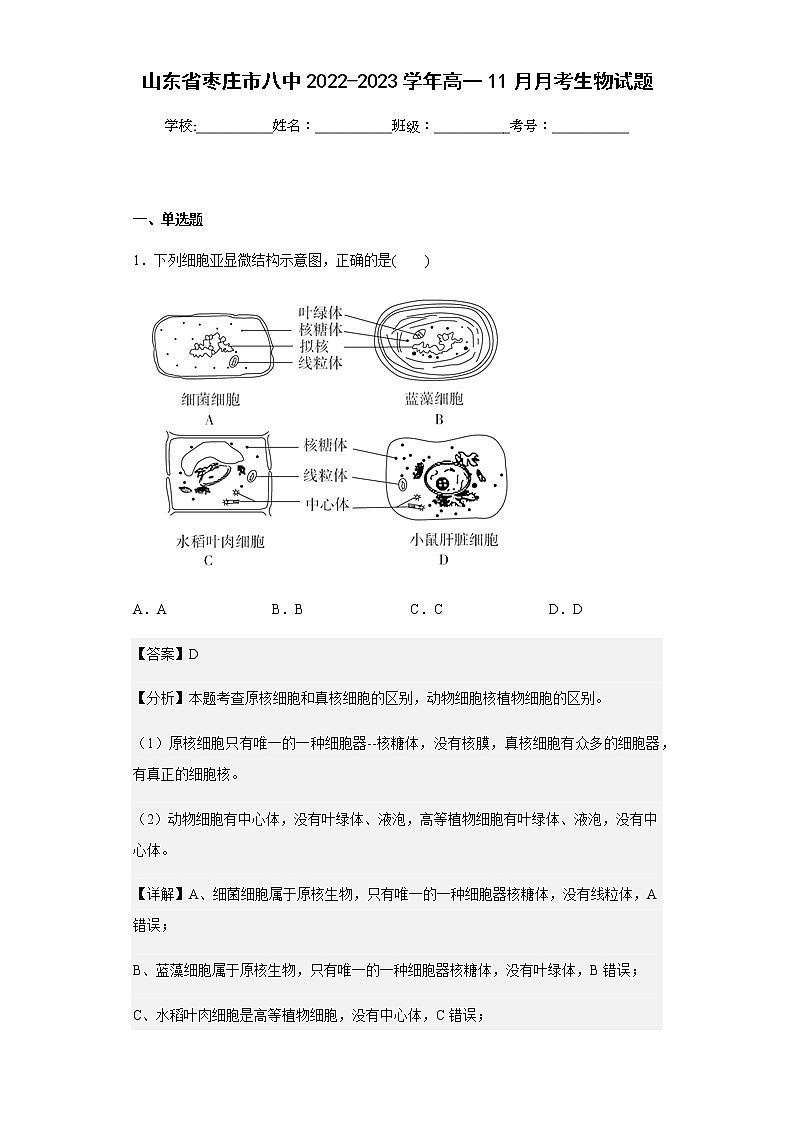2022-2023学年山东省枣庄市八中高一11月月考生物试题含解析第1页