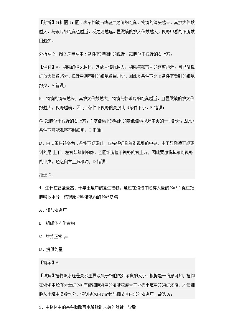 2022-2023学年山东省枣庄市八中高一11月月考生物试题含解析第3页