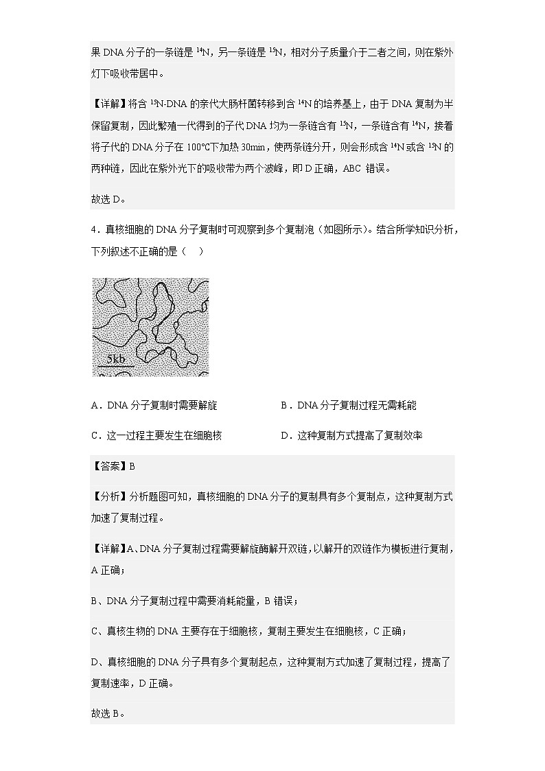 2022-2023学年上海市浦东复旦附中分校高二10月质量监控生物试题含解析第3页
