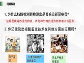 2.5 核酸是遗传信息的携带者课件-2022-2023学年高一上学期生物人教版（2019）必修1