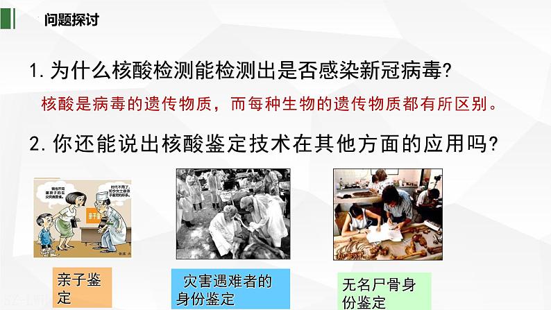 2.5 核酸是遗传信息的携带者课件-2022-2023学年高一上学期生物人教版（2019）必修1第3页