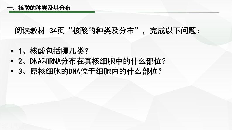 2.5 核酸是遗传信息的携带者课件-2022-2023学年高一上学期生物人教版（2019）必修1第4页