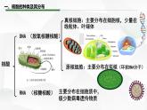 2.5 核酸是遗传信息的携带者课件-2022-2023学年高一上学期生物人教版（2019）必修1