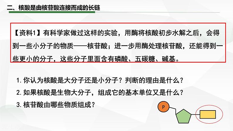 2.5 核酸是遗传信息的携带者课件-2022-2023学年高一上学期生物人教版（2019）必修1第7页