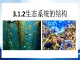 3.1.2生态系统的结构课件 -2022-2023学年高二上学期生物人教版（2019）选择性必修2