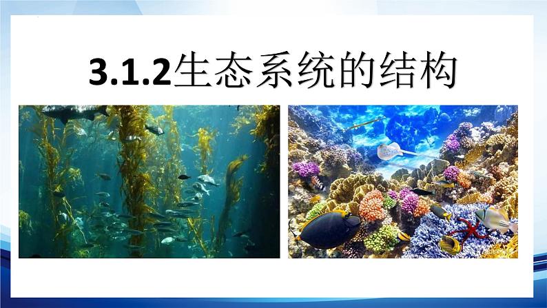 3.1.2生态系统的结构课件 -2022-2023学年高二上学期生物人教版（2019）选择性必修2第1页