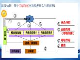 3.1.2生态系统的结构课件 -2022-2023学年高二上学期生物人教版（2019）选择性必修2