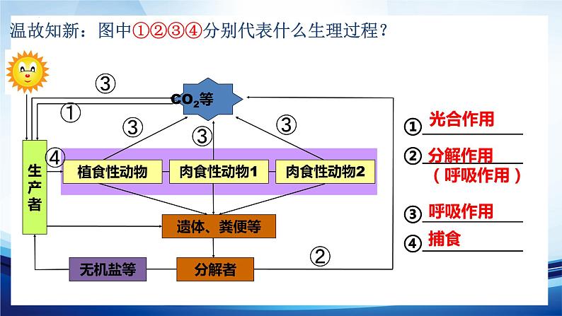 3.1.2生态系统的结构课件 -2022-2023学年高二上学期生物人教版（2019）选择性必修2第3页