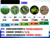 3.1.2生态系统的结构课件 -2022-2023学年高二上学期生物人教版（2019）选择性必修2