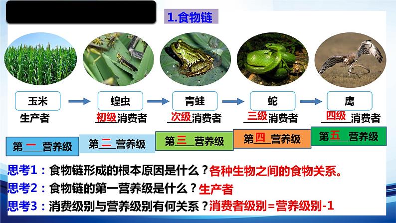 3.1.2生态系统的结构课件 -2022-2023学年高二上学期生物人教版（2019）选择性必修2第5页