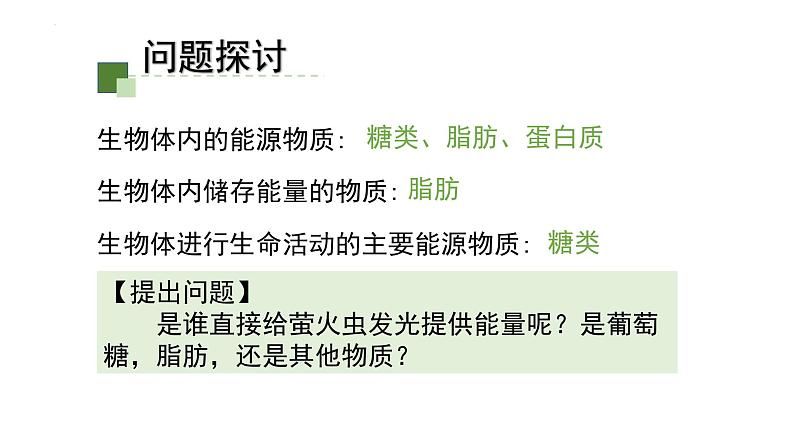 5.2 细胞的能量“货币”ATP课件-2022-2023学年高一上学期生物人教版（2019）必修1第5页