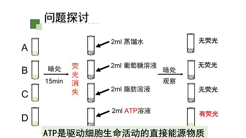 5.2 细胞的能量“货币”ATP课件-2022-2023学年高一上学期生物人教版（2019）必修1第7页