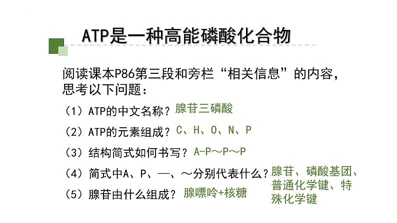 5.2 细胞的能量“货币”ATP课件-2022-2023学年高一上学期生物人教版（2019）必修1第8页