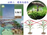 3.2第2节DNA的结构课件-2021-2022学年高一下学期生物人教版（2019）必修2