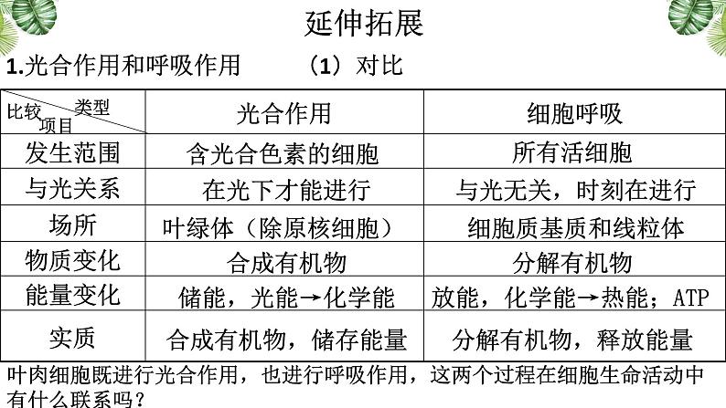 5.4.3 光合作用的原理和应用课件-2022-2023学年高一上学期生物人教版（2019）必修101