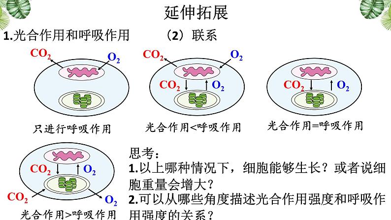 5.4.3 光合作用的原理和应用课件-2022-2023学年高一上学期生物人教版（2019）必修102