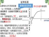5.4.3 光合作用的原理和应用课件-2022-2023学年高一上学期生物人教版（2019）必修1