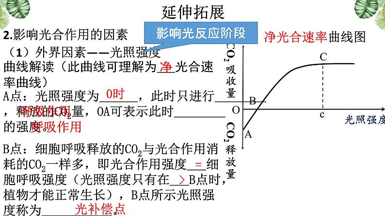 5.4.3 光合作用的原理和应用课件-2022-2023学年高一上学期生物人教版（2019）必修104