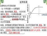 5.4.3 光合作用的原理和应用课件-2022-2023学年高一上学期生物人教版（2019）必修1