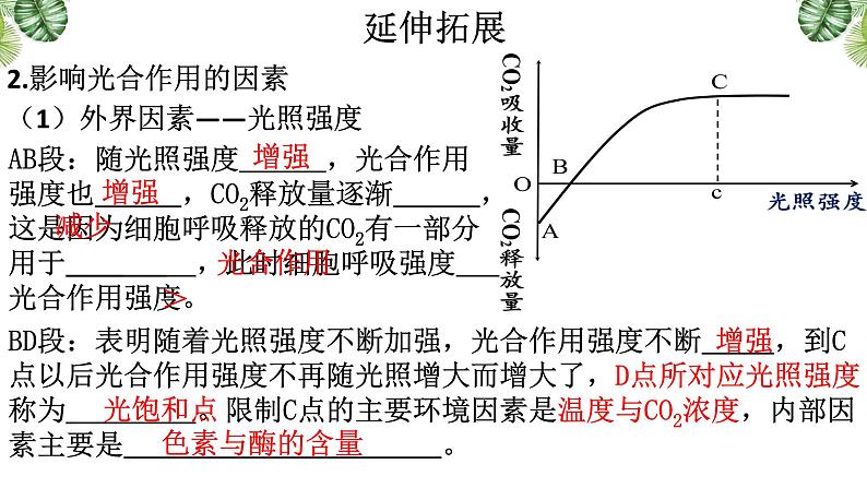 5.4.3 光合作用的原理和应用课件-2022-2023学年高一上学期生物人教版（2019）必修105