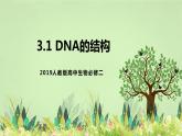 【核心素养】人教版高中生物必修二3.2《DNA的结构》课件PPT+教案+练习