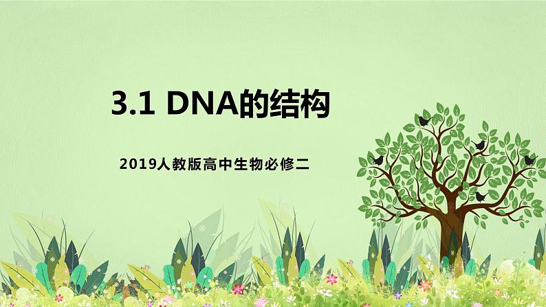 【核心素养】人教版高中生物必修二3.2《DNA的结构》课件PPT+教案+练习01