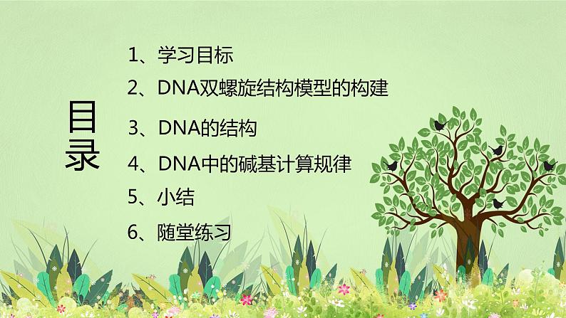 【核心素养】人教版高中生物必修二3.2《DNA的结构》课件PPT+教案+练习02