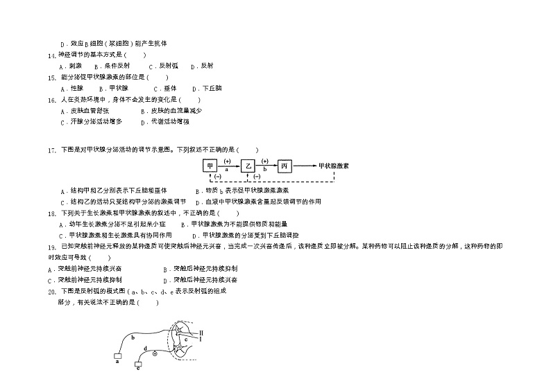 西藏拉萨市第二高级中学2022-2023学年高二上学期期末考试生物试题03
