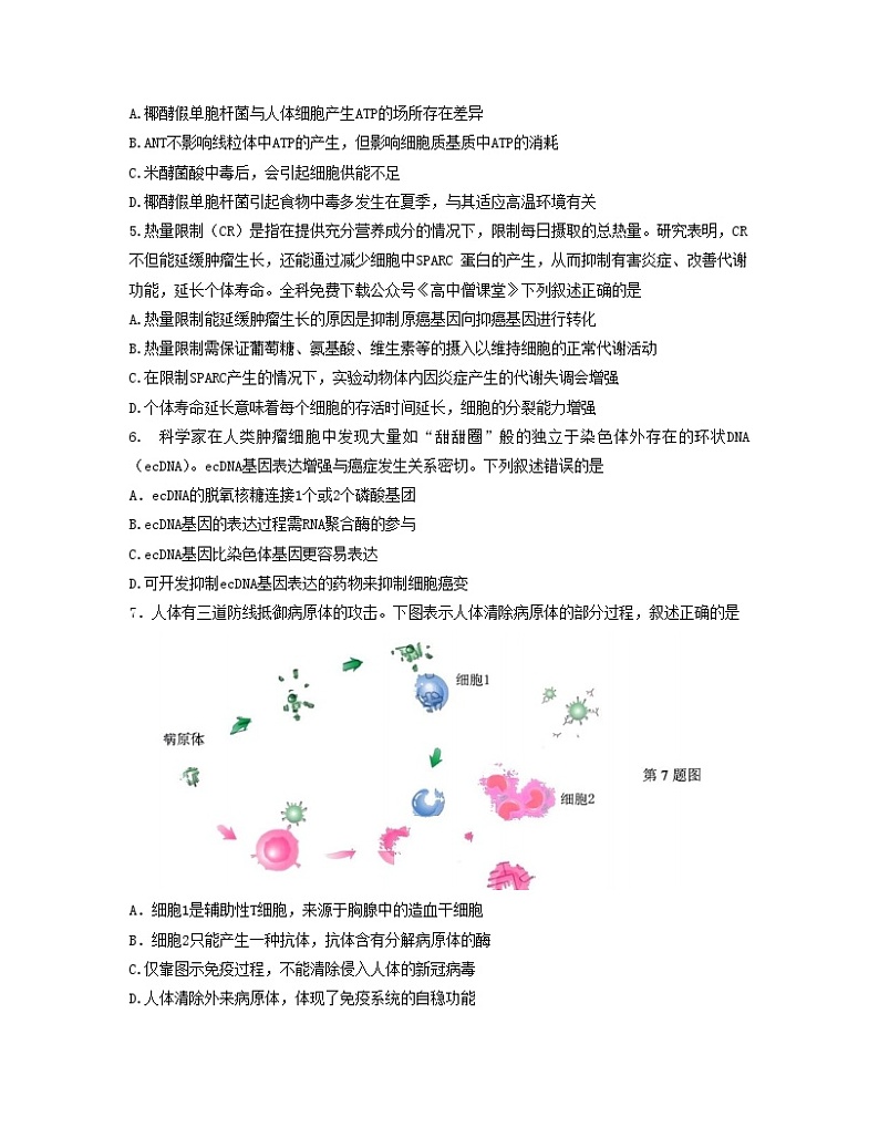 2023东莞高三上学期期末生物含答案第2页