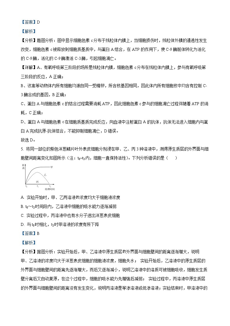 2023洛阳普高联考高三上学期生物测评卷（三）含解析03