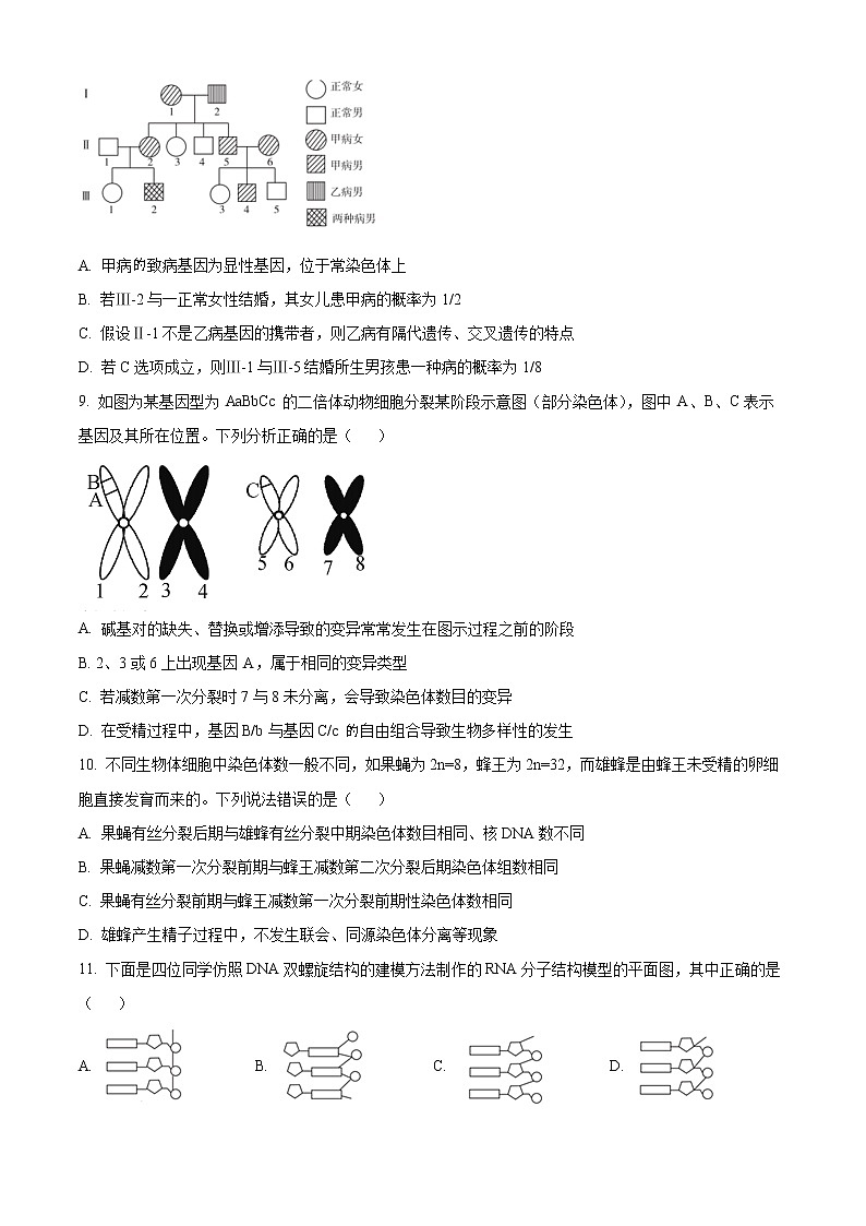 2023洛阳普高联考高三上学期生物测评卷（三）含解析03