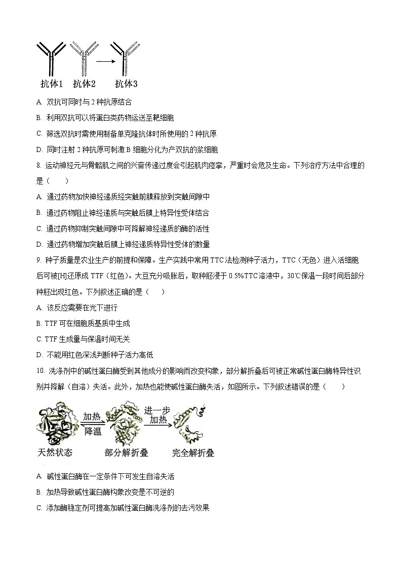 2023嘉兴一中高三上学期期中考试生物含解析02