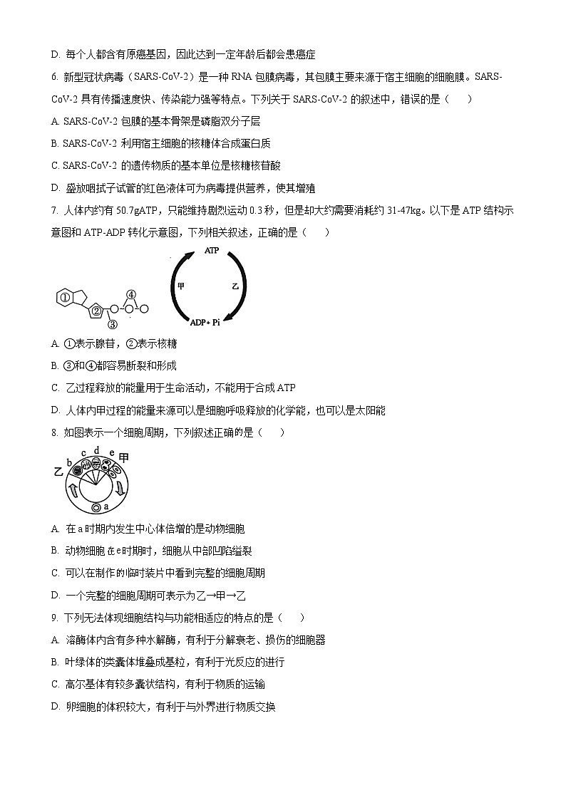 2023浙江省缙云中学等四校高一上学期12月联考生物试题含解析02