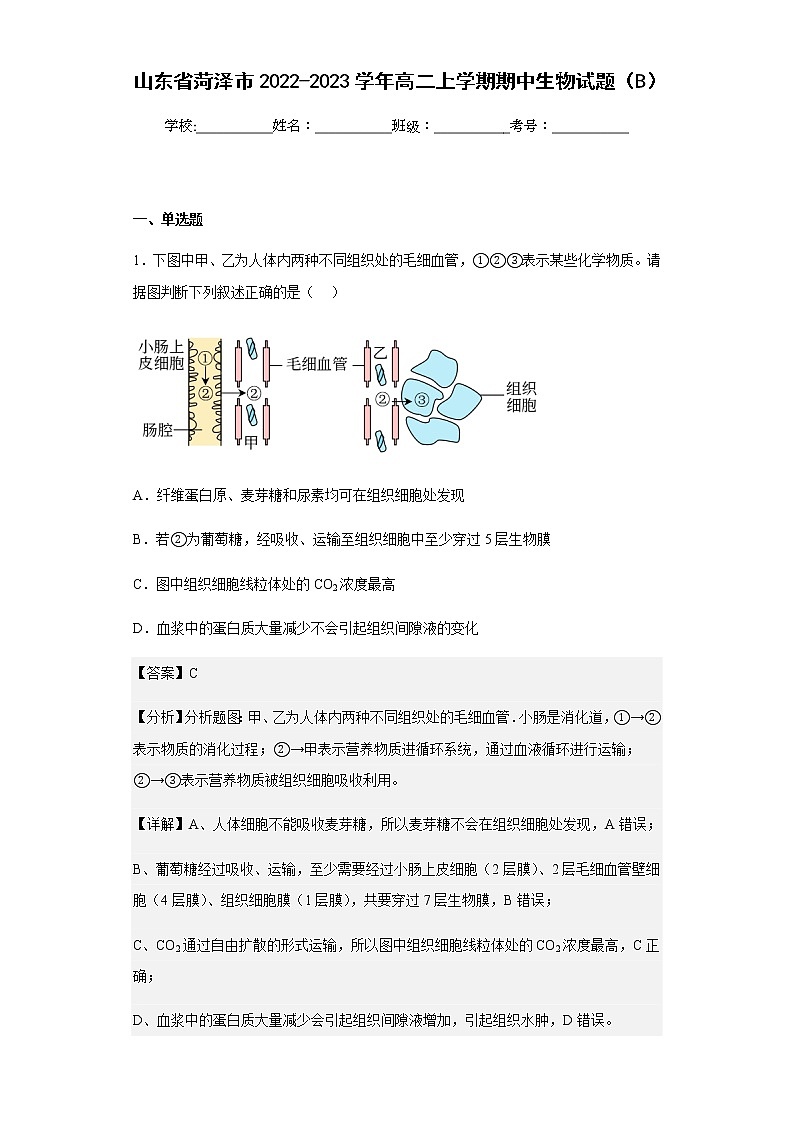 2022-2023学年山东省菏泽市高二上学期期中生物试题（B）含解析01