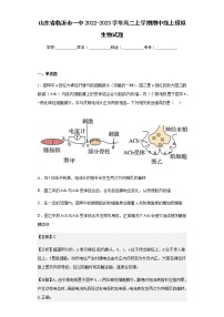 2022-2023学年山东省临沂市一中高二上学期期中线上模拟生物试题含解析