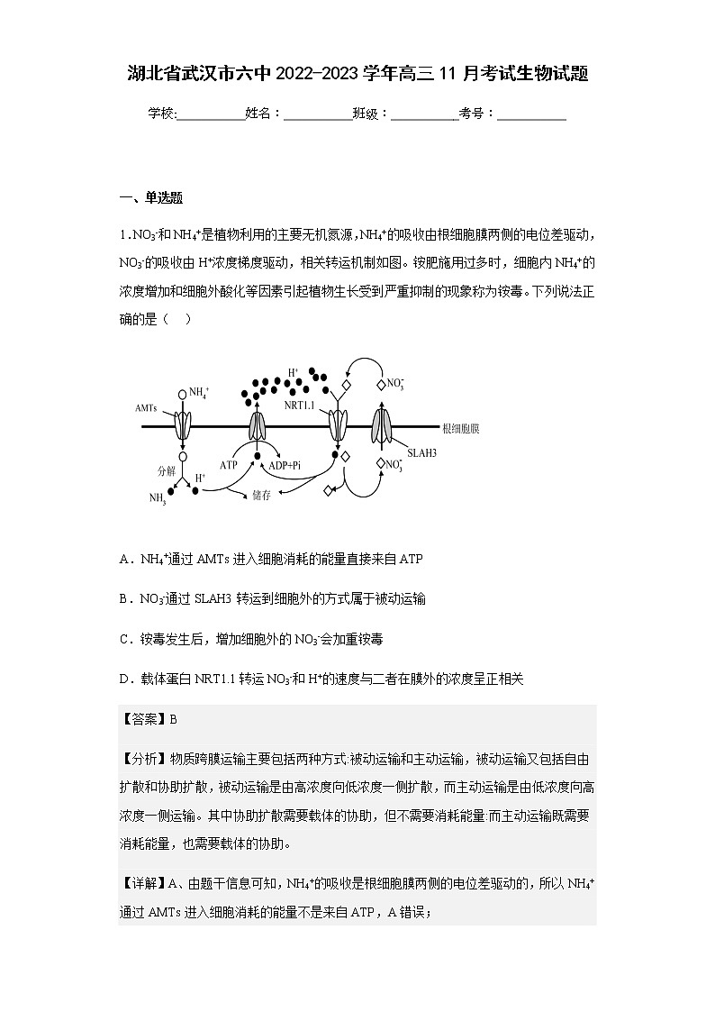 2022-2023学年湖北省武汉市六中高三11月考试生物试题含解析01