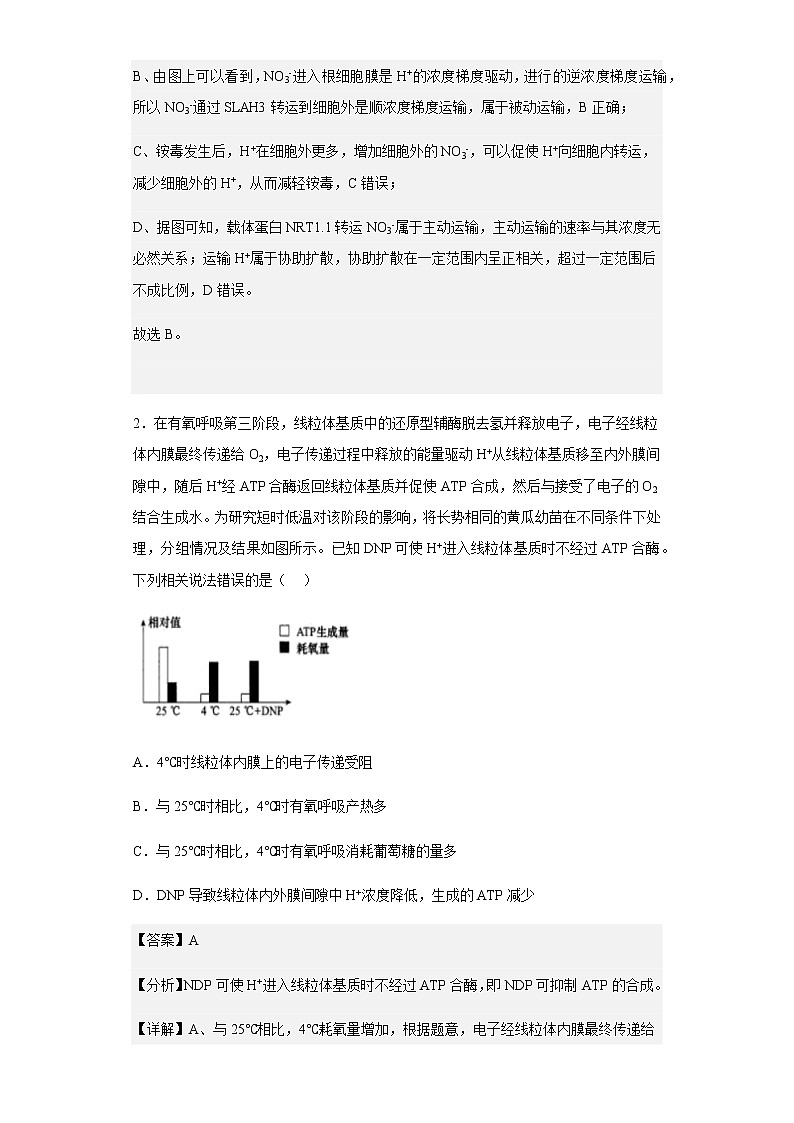 2022-2023学年湖北省武汉市六中高三11月考试生物试题含解析02