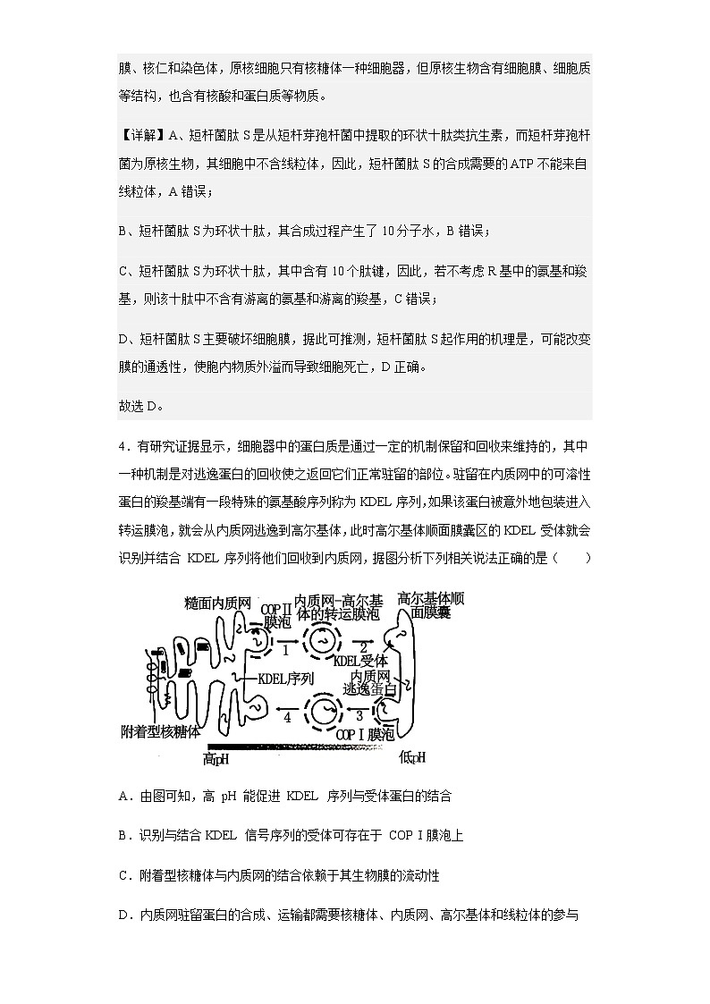 2022-2023学年湖南省长沙市湖南师大附中高三上学期第二次月考生物试题含解析第3页