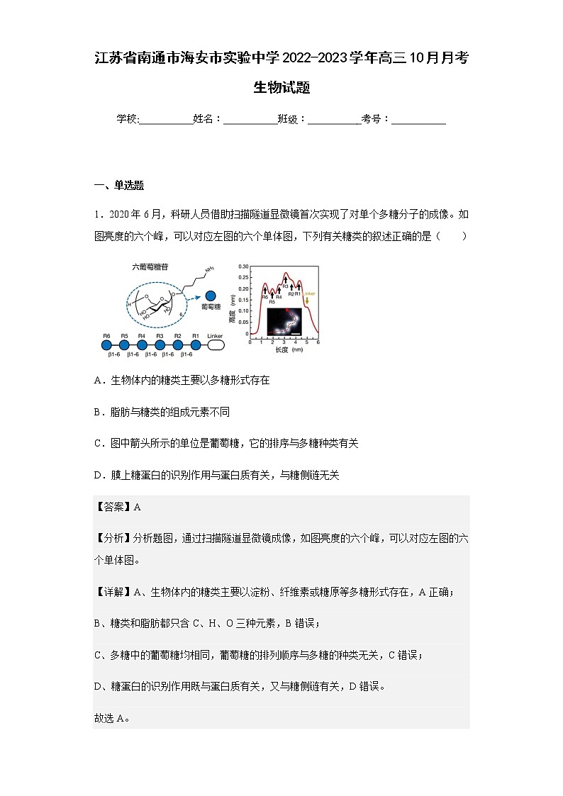 2022-2023学年江苏省南通市海安市实验中学高三10月月考生物试题含解析第1页