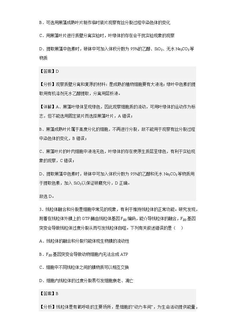 2022-2023学年山东省德州市高三11月期中生物试题含解析第2页