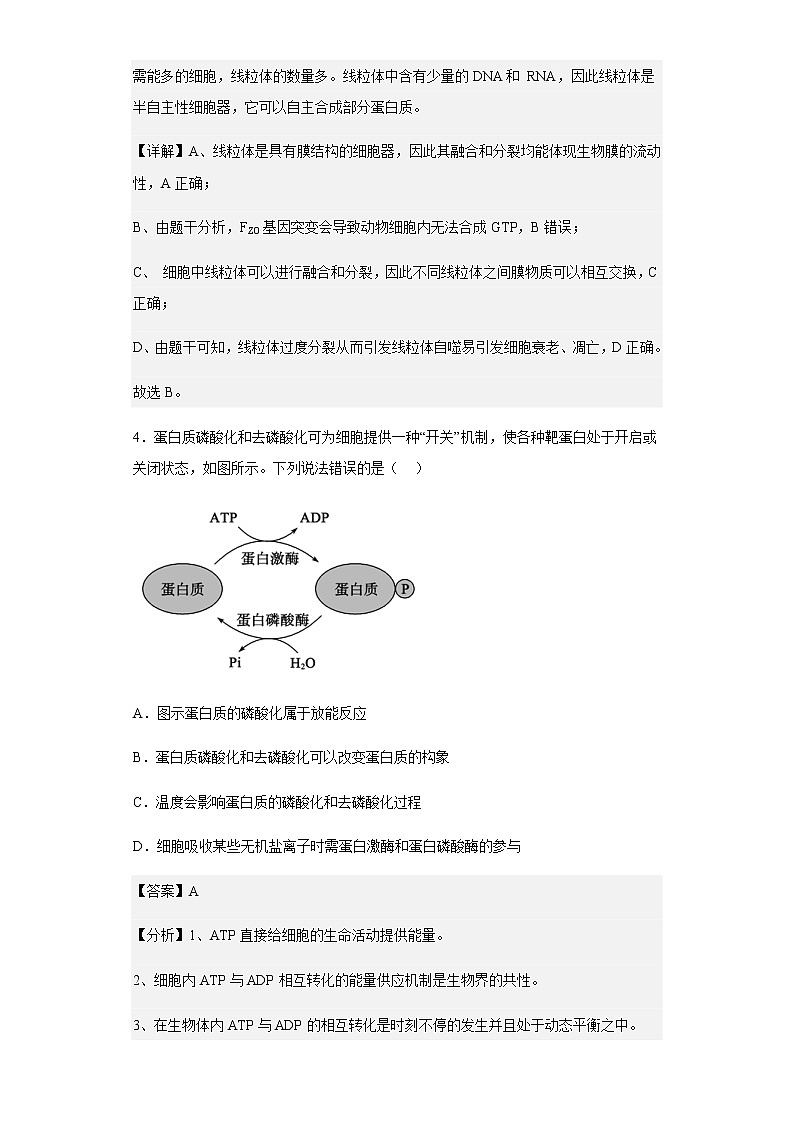 2022-2023学年山东省德州市高三11月期中生物试题含解析第3页