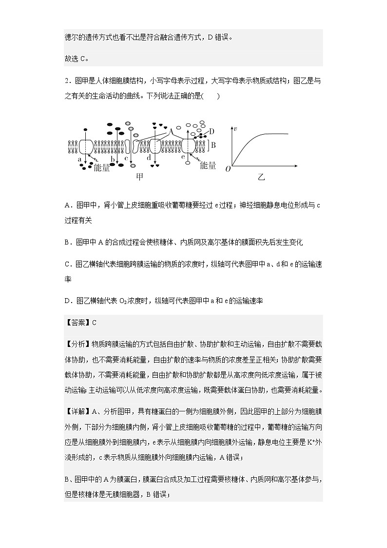 2022-2023学年福建省莆田市一中高三上学期第一学段考试生物试题含解析02